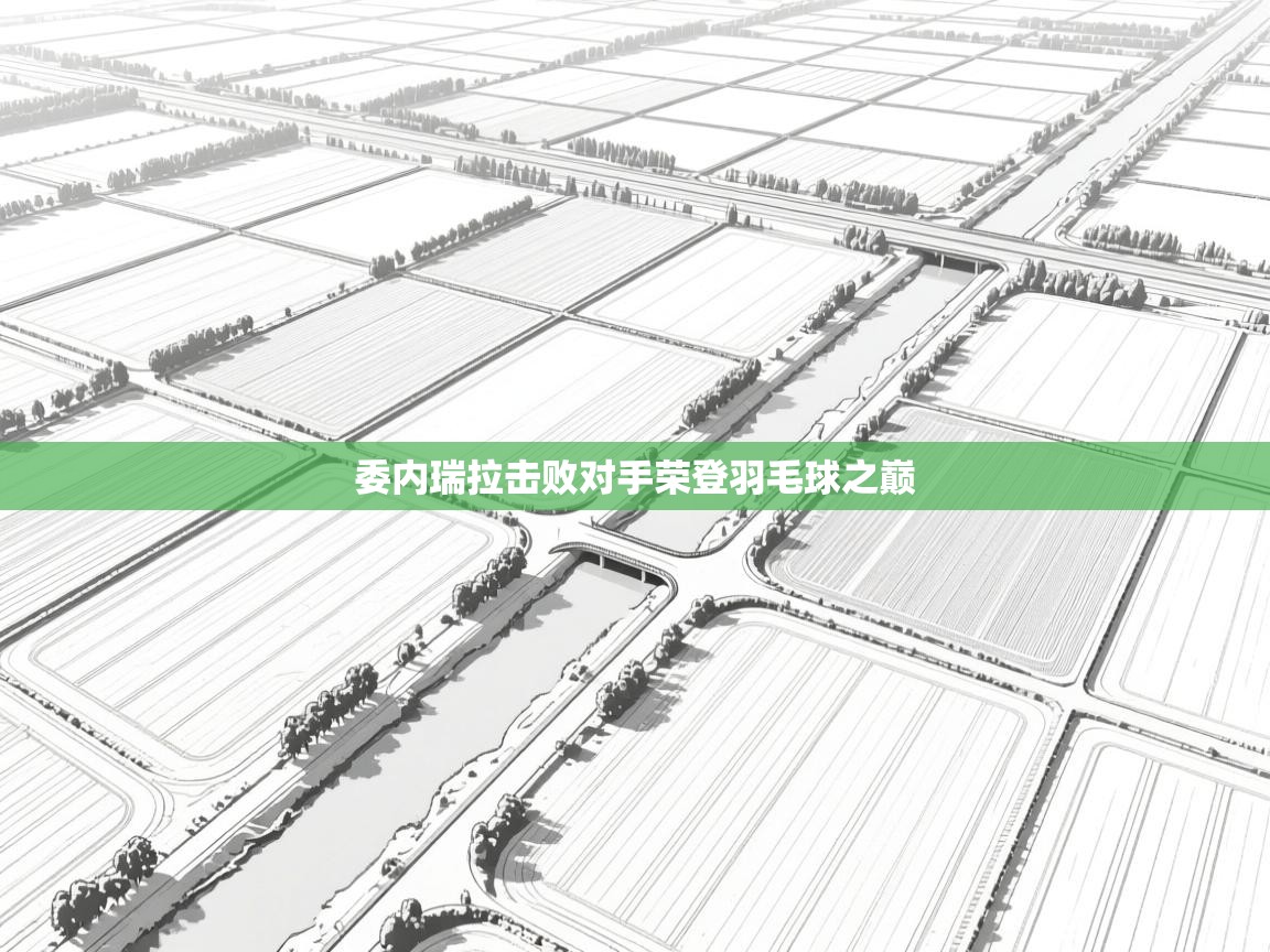 委内瑞拉击败对手荣登羽毛球之巅 第2张