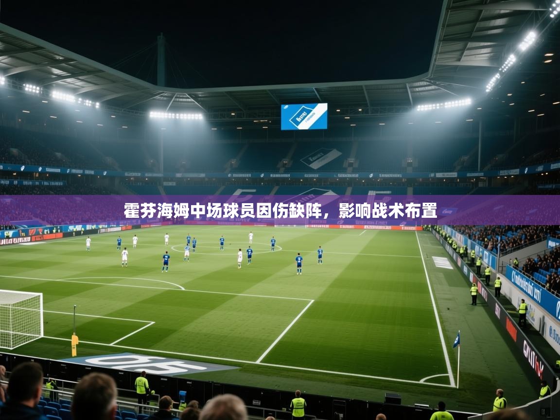霍芬海姆中场球员因伤缺阵，影响战术布置  第2张